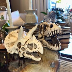 Dinosaur Skull T-Rex  Triceratops fun detailed skeleton heads Decor Set Jurassic